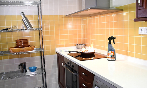 Ecofire 1l in keuken